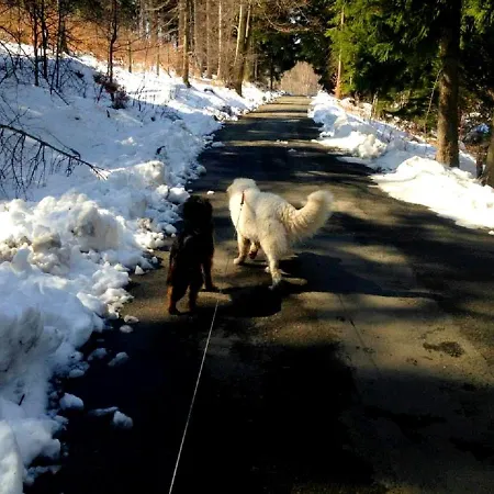 Gospoda „Dobre Zrodlo” *